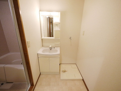 Washroom. Independent wash basin & Laundry Area