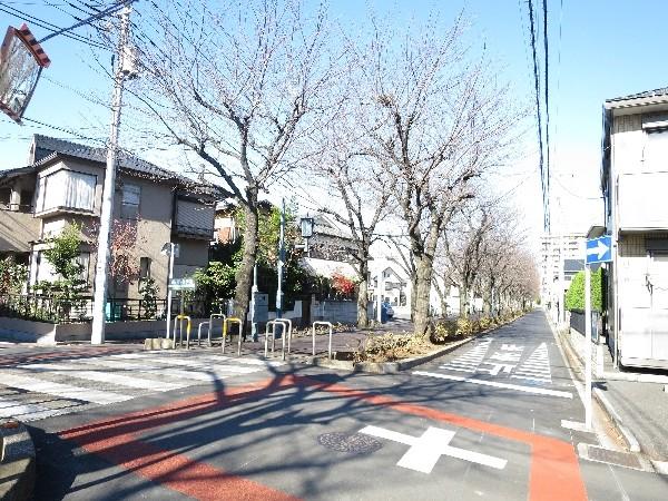 Other Environmental Photo. Flowers and way of 50m to the station until the green promenade is walking. Spring cherry blossoms, Autumn leaves can be enjoyed in the fall.  