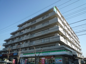 Building appearance. Mansion of RC is