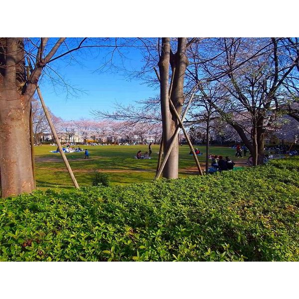 park. Akirahana to the park (park) 2022m