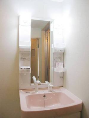 Washroom. Pretty shampoo dresser