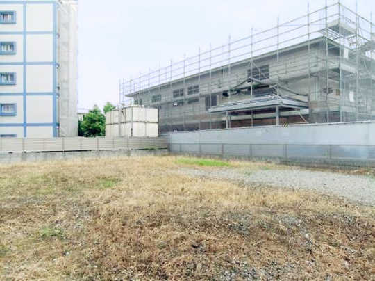 Local land photo. appearance