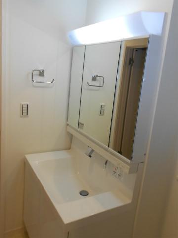 Wash basin, toilet. Vanity (December 2013) Shooting