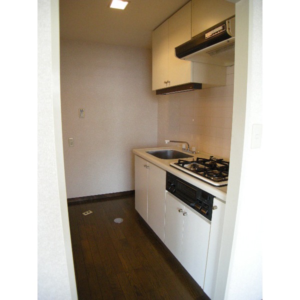 Kitchen. Kitchen space