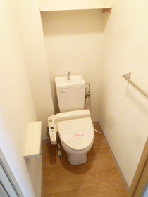 Toilet. It is a bathroom with a hot water cleaning toilet seat.