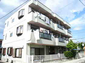 Building appearance