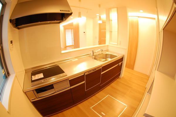 Kitchen. Dishwasher built-in system kitchen