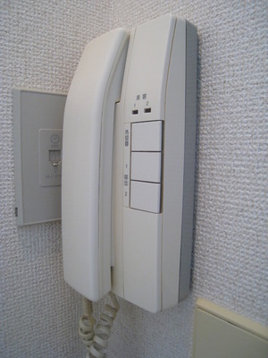 Security. Safely can you entrance turn corresponds to the visitors in the intercom