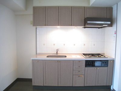 Kitchen. System kitchen city gas with a 3-neck of the grill