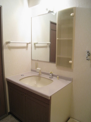 Washroom. Storage rack is useful dresser