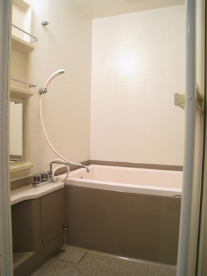 Bath. Economic add-fired function with city gas