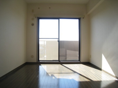 Living and room. South-facing sunny rooms