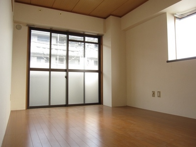 Living and room. Bright two-plane daylight!