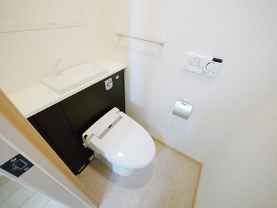 Toilet. ※ Same type of image is a photo.