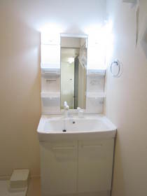 Washroom. Shower Dresser