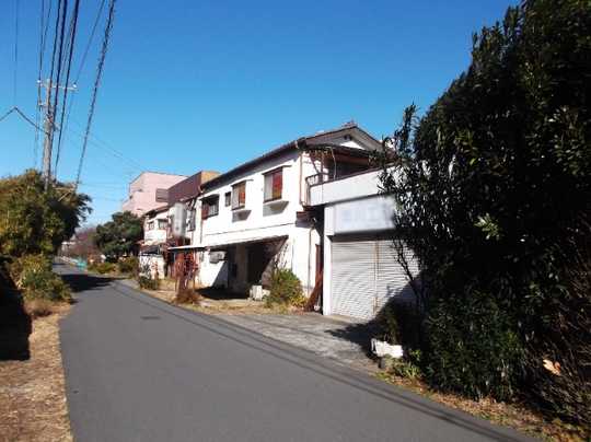 Local land photo. Appearance 1