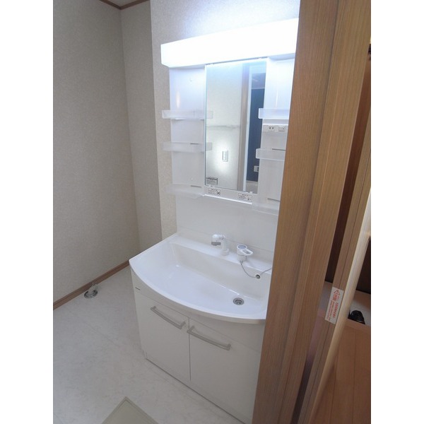 Washroom. Shampoo dresser
