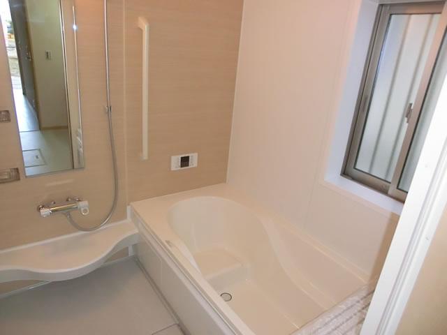 Bathroom. Indoor (10 May 2013) Shooting