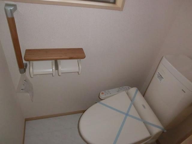 Toilet. Indoor (10 May 2013) Shooting