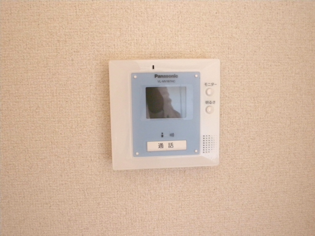 Security. Monitor with intercom