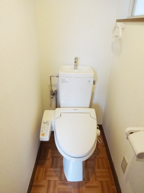 Toilet. Clean feeling full of bright toilet.