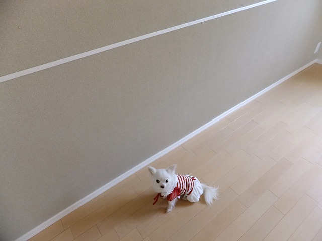Other Equipment. ※ Because of the new construction, Is an image