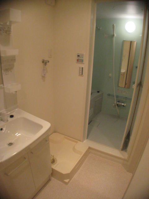 Washroom. Indoor Laundry Storage