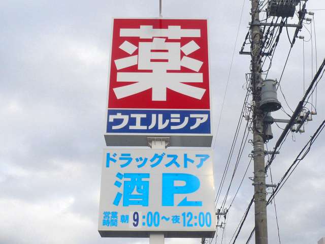 Dorakkusutoa. Uerushia Saitama HARAYAMA shop 450m until (drugstore)