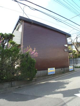 Building appearance