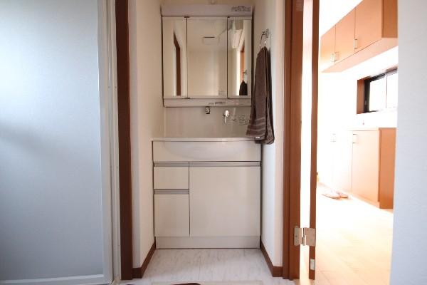 Wash basin, toilet. Housed in a three-sided mirror is also fully functional dresser