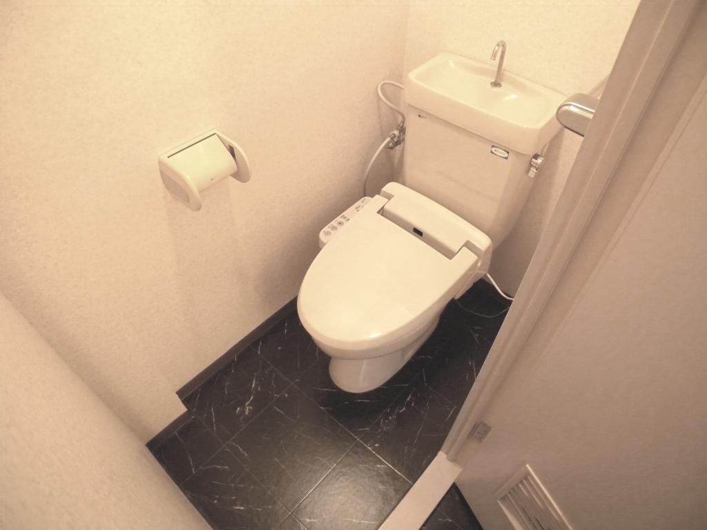 Toilet. Cleaning toilet seat