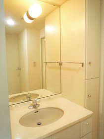 Washroom. Bathroom vanity