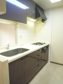 Kitchen. System kitchen
