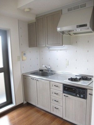 Kitchen. Stylish cute kitchen