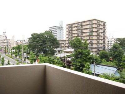 View. View Yoshi!