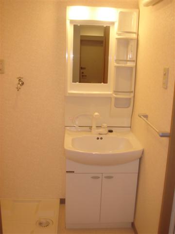 Washroom. Wash basin