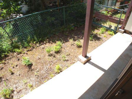 Garden. Private garden