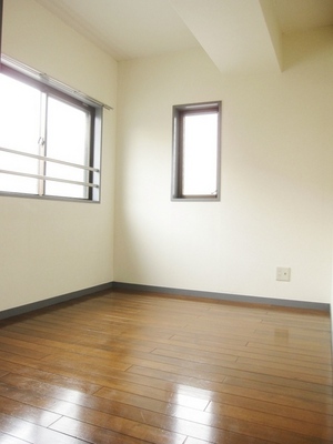 Living and room. Bright two-plane daylight Western-style