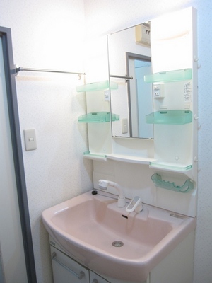 Washroom. Shampoo dresser