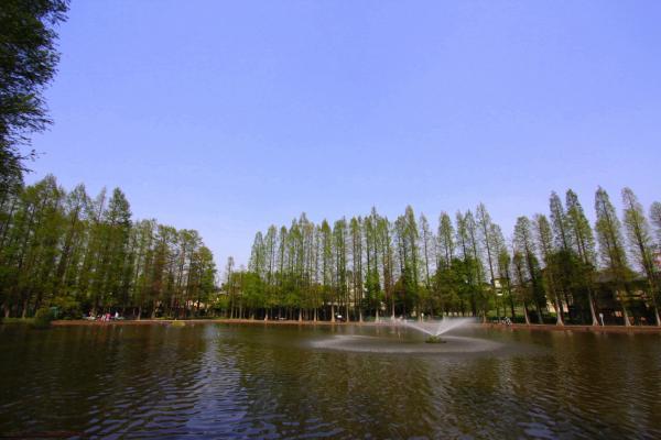 park. 800m Bessho swamp park to the park