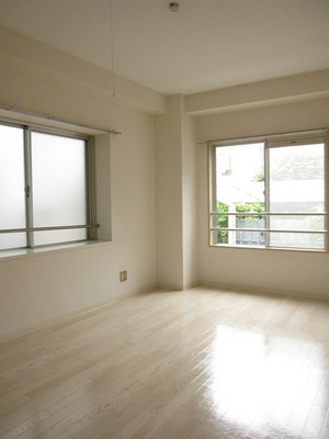 Living and room. Bright and refreshing image in the two-sided lighting Western-style