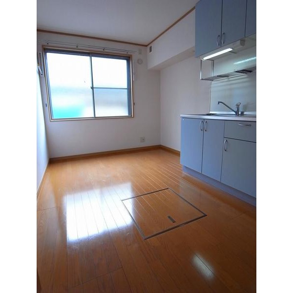 Living and room. DK air conditioning installation Allowed