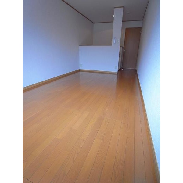 Living and room. Flooring of Western-style