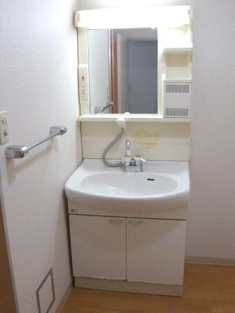 Washroom. Bathroom Vanity