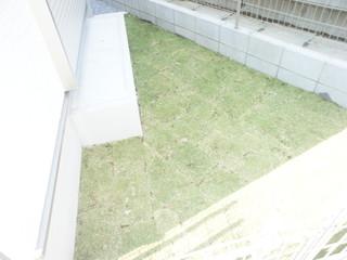 Garden. Local (11 May 2013) Shooting