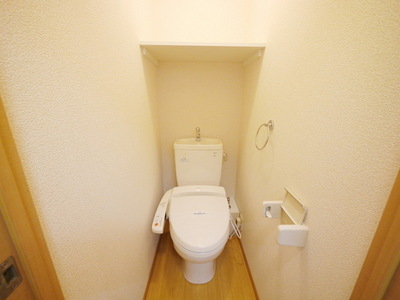 Toilet. Bathroom with a shower