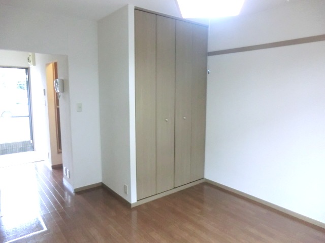 Living and room. Washing machine Storage