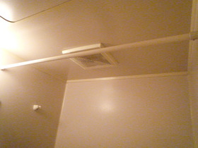 Bath. With a clothesline in the bathroom!