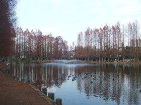 Other. 80m to Bessho swamp park (Other)