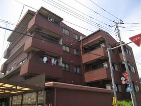kindergarten ・ Nursery